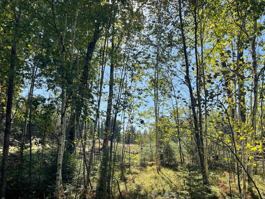 Photo of Angel Crest LANE, Lakewood, WI 54138 (MLS # 50315942)