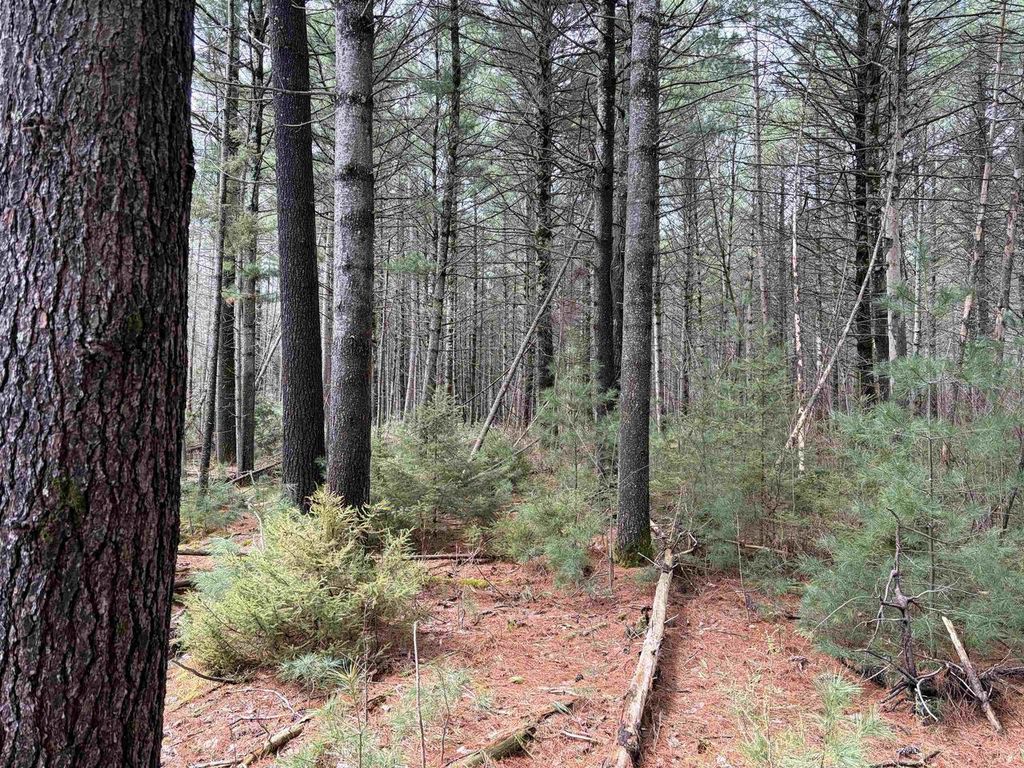 Photo of ON Whispering Pines DRIVE, Tomahawk, WI 54487 (MLS # 22601699)