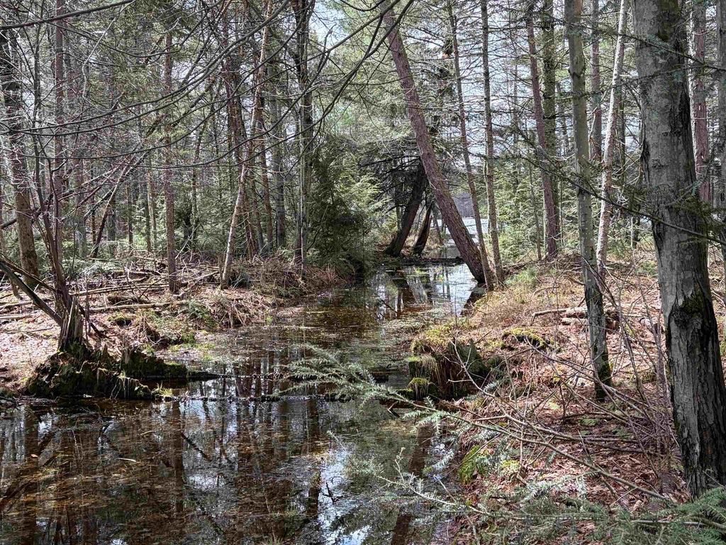 Photo of ON Whispering Pines DRIVE, Tomahawk, WI 54487 (MLS # 22601699)