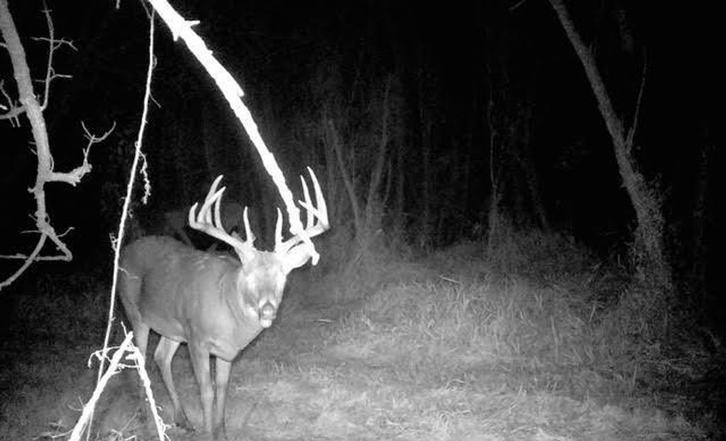 Photo of S2986 Barth ROAD, Fountain City, WI 54629 (MLS # 1939308)