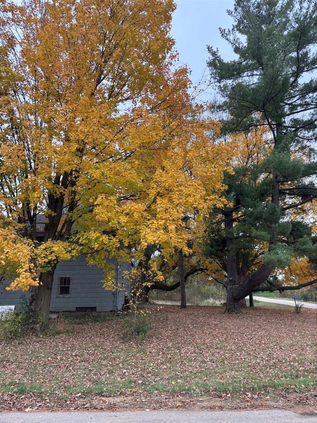 Photo of S7321 New Haven ROAD, North Freedom, WI 53951 (MLS # 2010893)