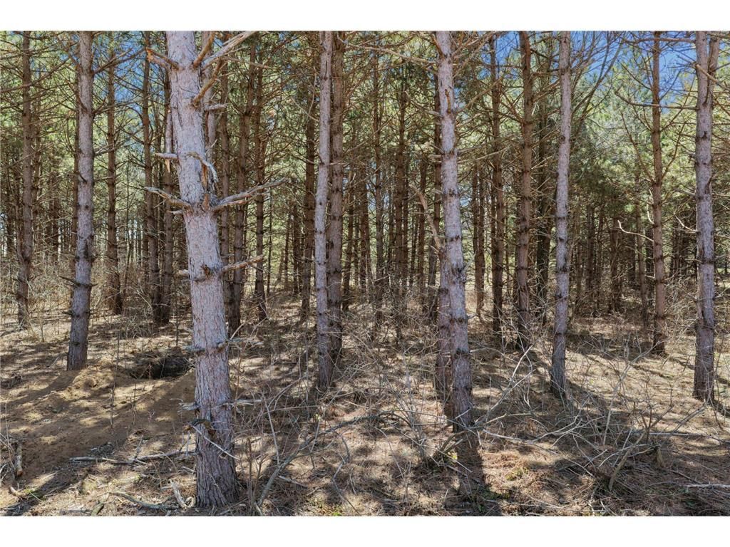 Photo of XXXX (Lot 21) 119th AVENUE, Roberts, WI 54023 (MLS # 7050196)