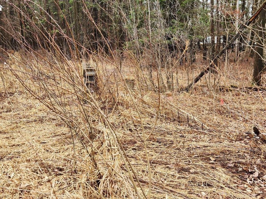 Photo of W10582 Carpenter ROAD, Tripoli, WI 54564 (MLS # 22601527)