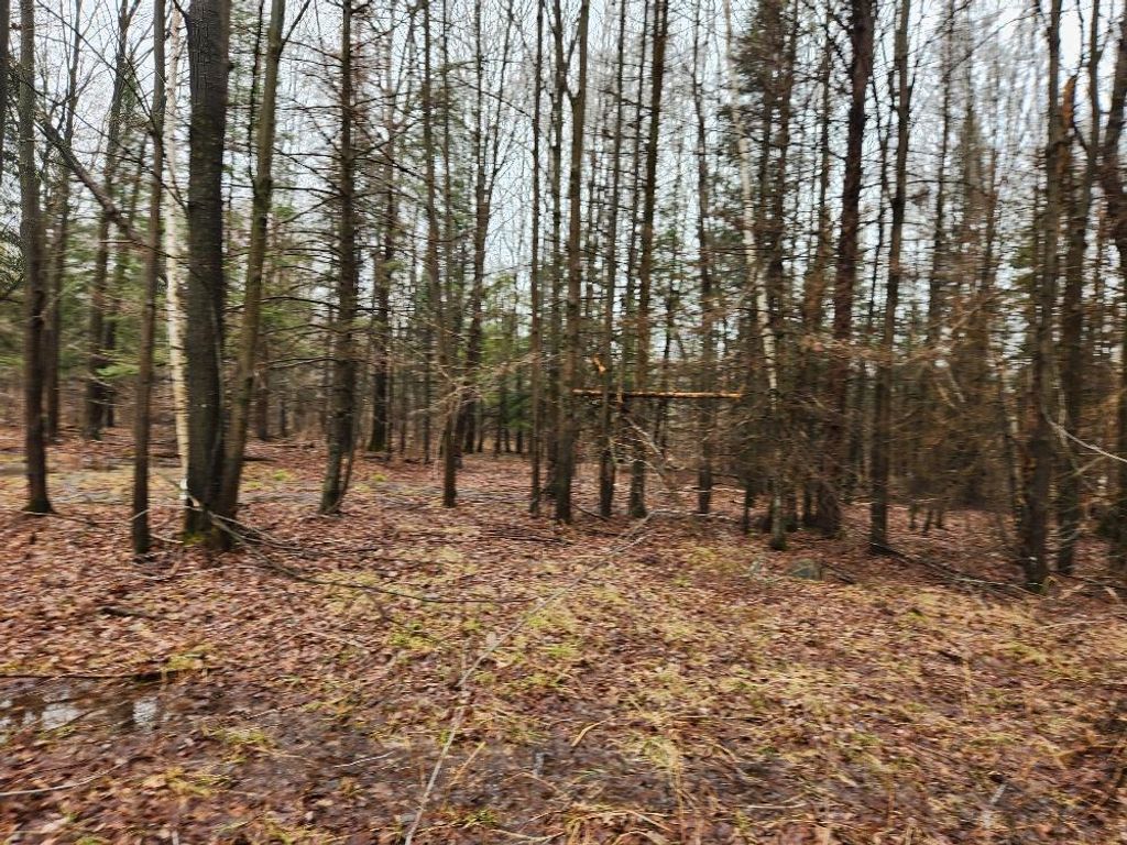 Photo of W10582 Carpenter ROAD, Tripoli, WI 54564 (MLS # 22601527)