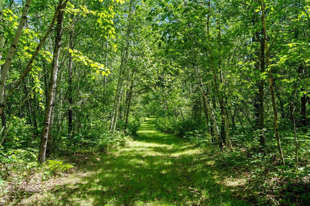 Photo of TBD E Mail ROAD, Gordon, WI 54838 (MLS # 1602647)