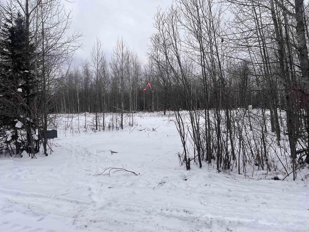 Photo of Dream Lake ROAD, Tipler, WI 54542 (MLS # 50315738)