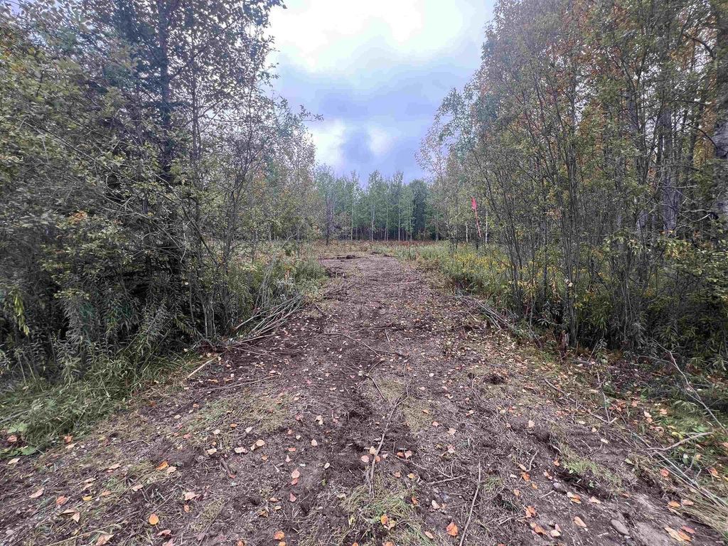 Photo of Dream Lake ROAD, Tipler, WI 54542 (MLS # 50315738)