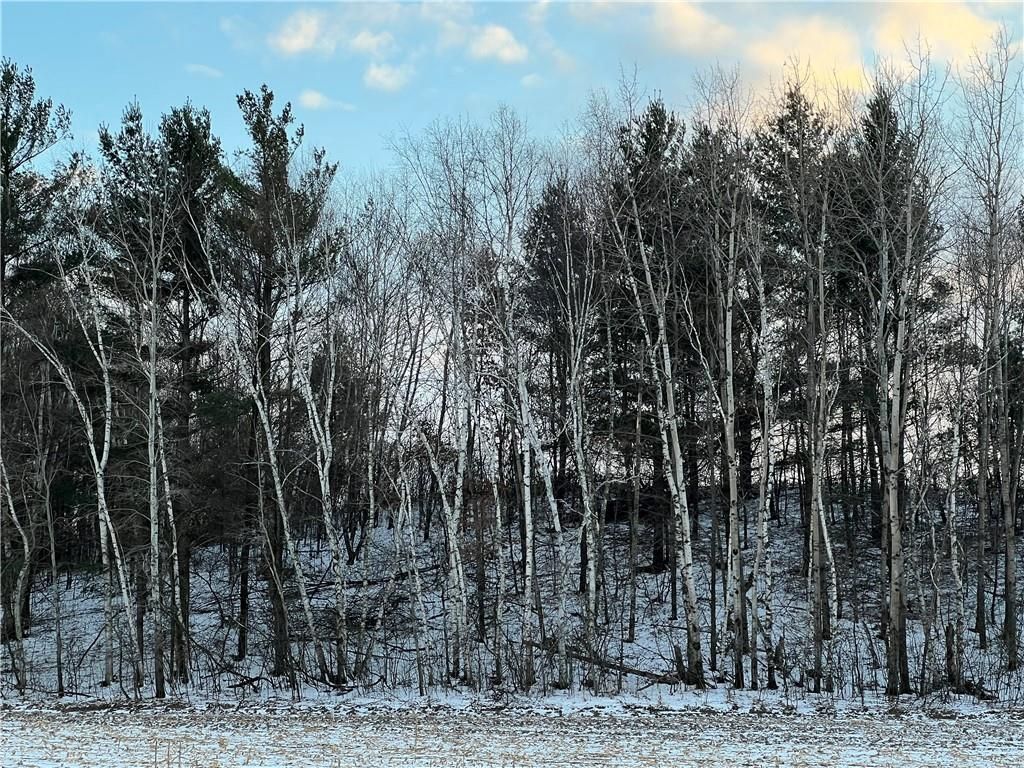 Photo of 13022 222nd AVENUE, Bloomer, WI 54724 (MLS # 1597312)