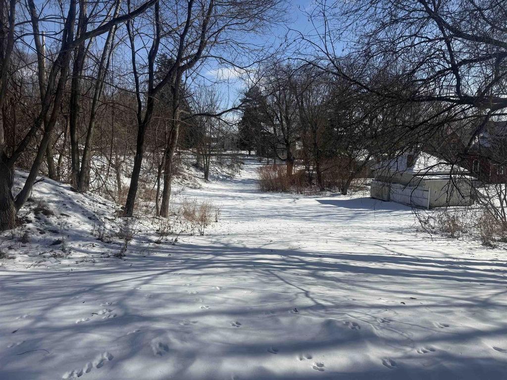 Photo of 315 Granite STREET, Waupaca, WI 54981 (MLS # 50320514)