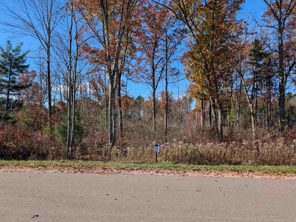 Photo of 2991 Waterview DRIVE #Lot 15, Biron, WI 54494 (MLS # 22505184)
