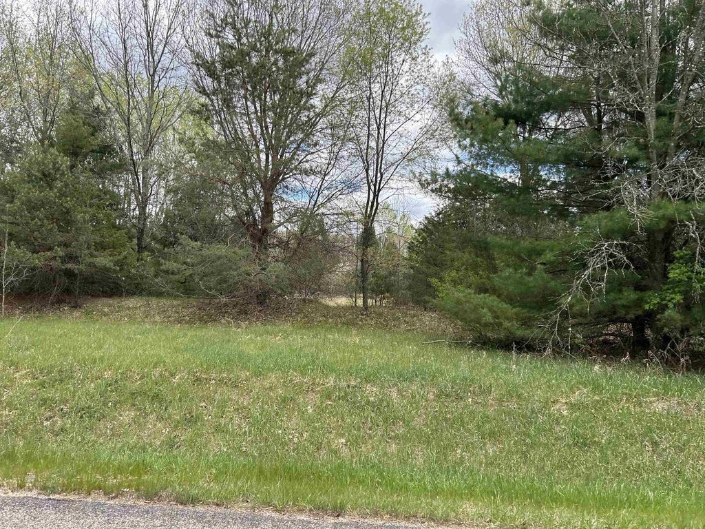 Photo of Lot 1 Czech LANE, Neshkoro, WI 54960 (MLS # 2023203)