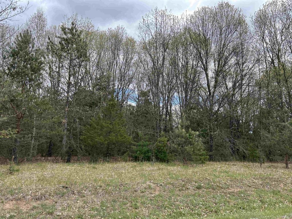 Photo of Lot 1 Czech LANE, Neshkoro, WI 54960 (MLS # 2023203)