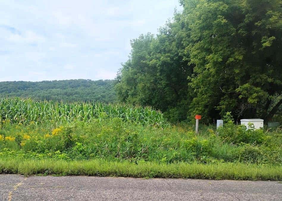 Photo of TBD 1130th, Colfax, WI 54730 (MLS # 1604452)