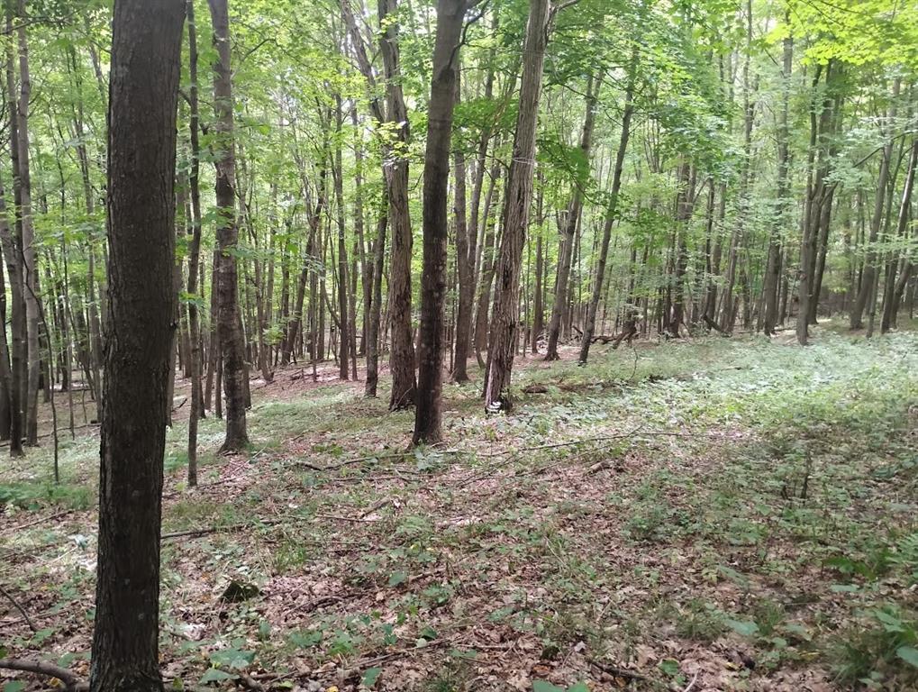Photo of TBD 1130th, Colfax, WI 54730 (MLS # 1604452)