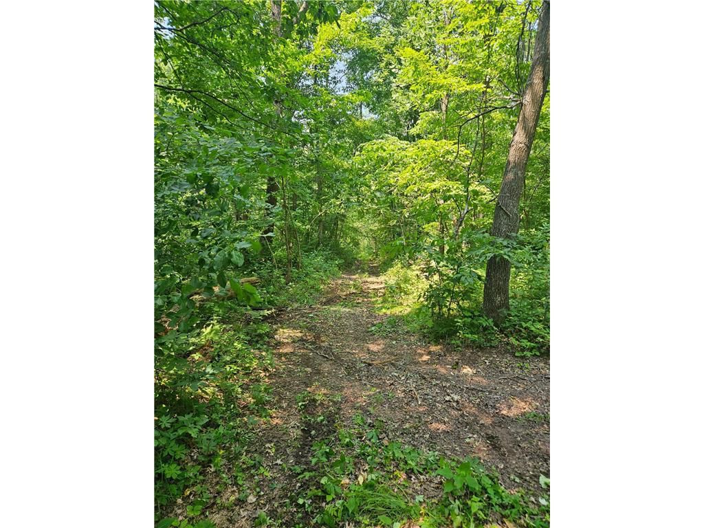 Photo of 49 acres 16th AVENUE, Cameron, WI 54822 (MLS # 7108829)