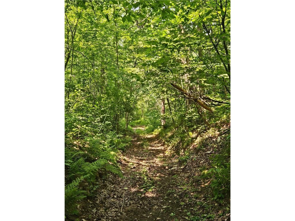 Photo of 49 acres 16th AVENUE, Cameron, WI 54822 (MLS # 7108829)