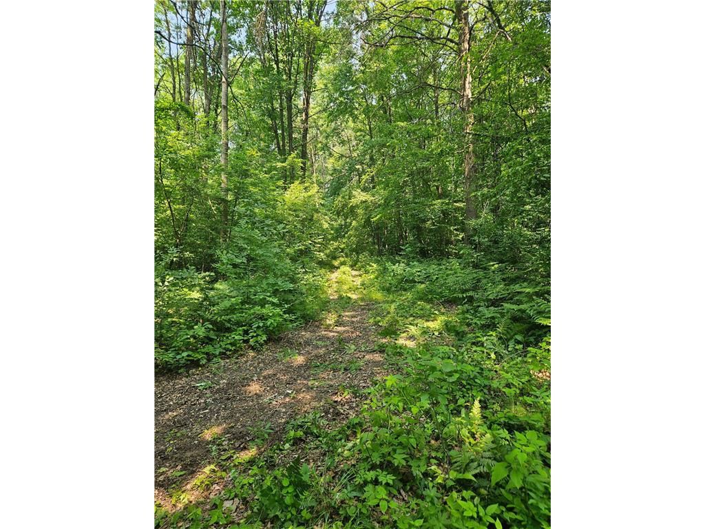 Photo of 49 acres 16th AVENUE, Cameron, WI 54822 (MLS # 7108829)
