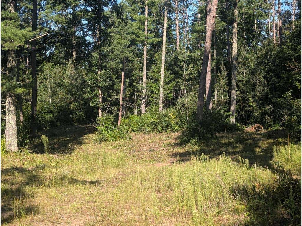 Photo of 3380 W Highway 63, Springbrook, WI 54875 (MLS # 7121855)