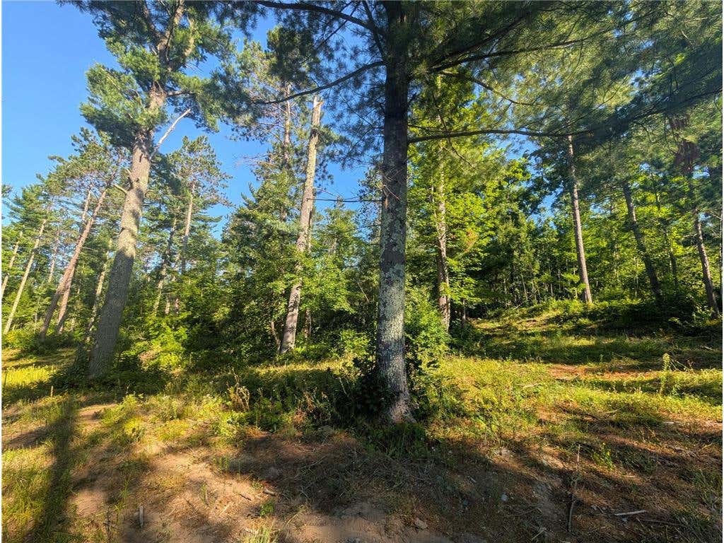 Photo of 3380 W Highway 63, Springbrook, WI 54875 (MLS # 7121855)