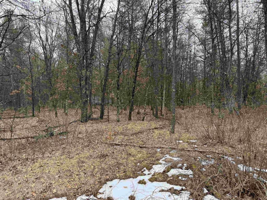 Photo of 1046 13th LANE, Arkdale, WI 54613 (MLS # 50322824)