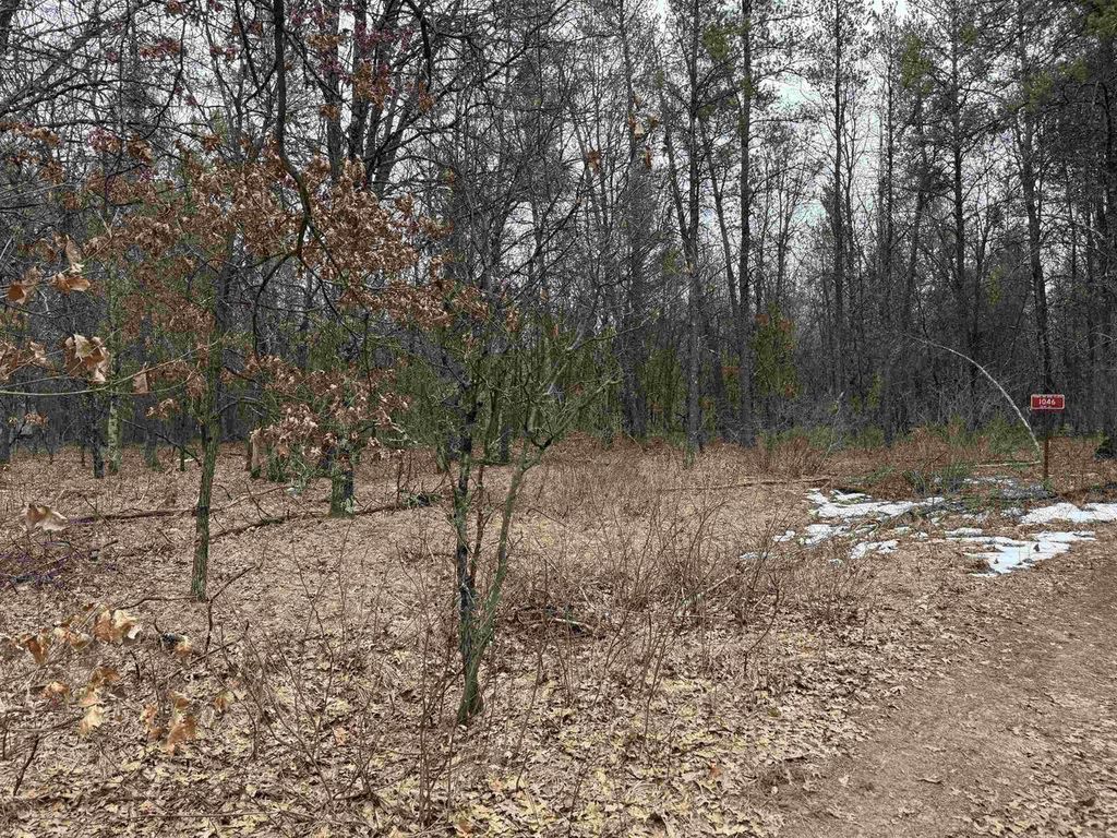 Photo of 1046 13th LANE, Arkdale, WI 54613 (MLS # 50322824)