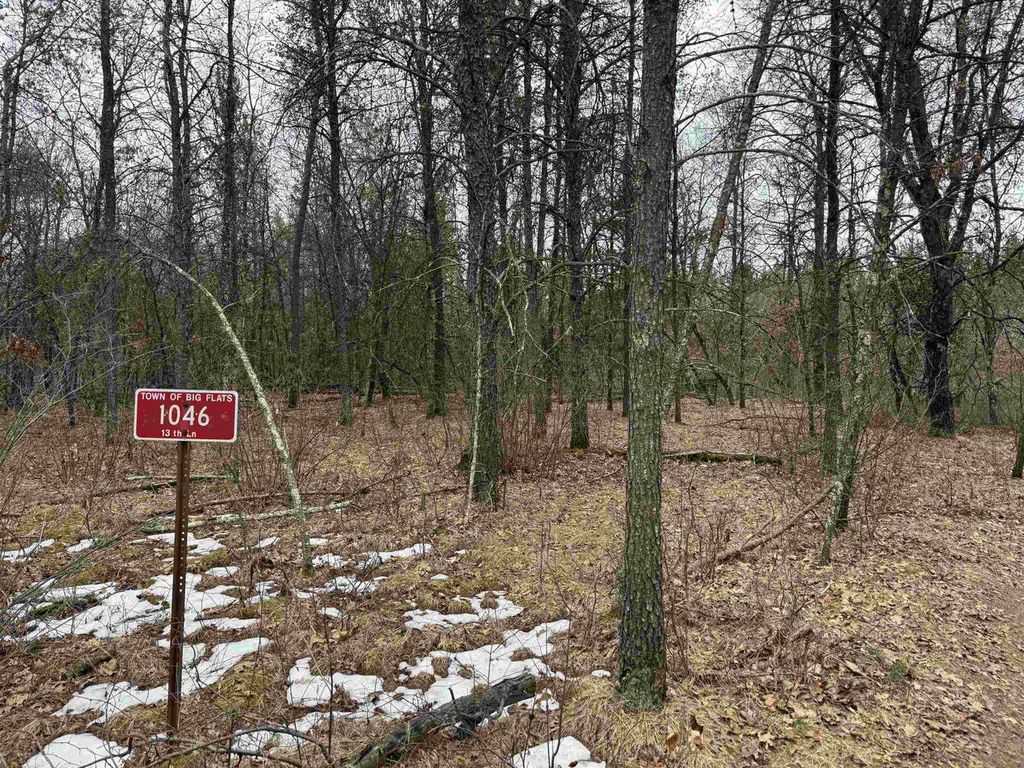 Photo of 1046 13th LANE, Arkdale, WI 54613 (MLS # 50322824)