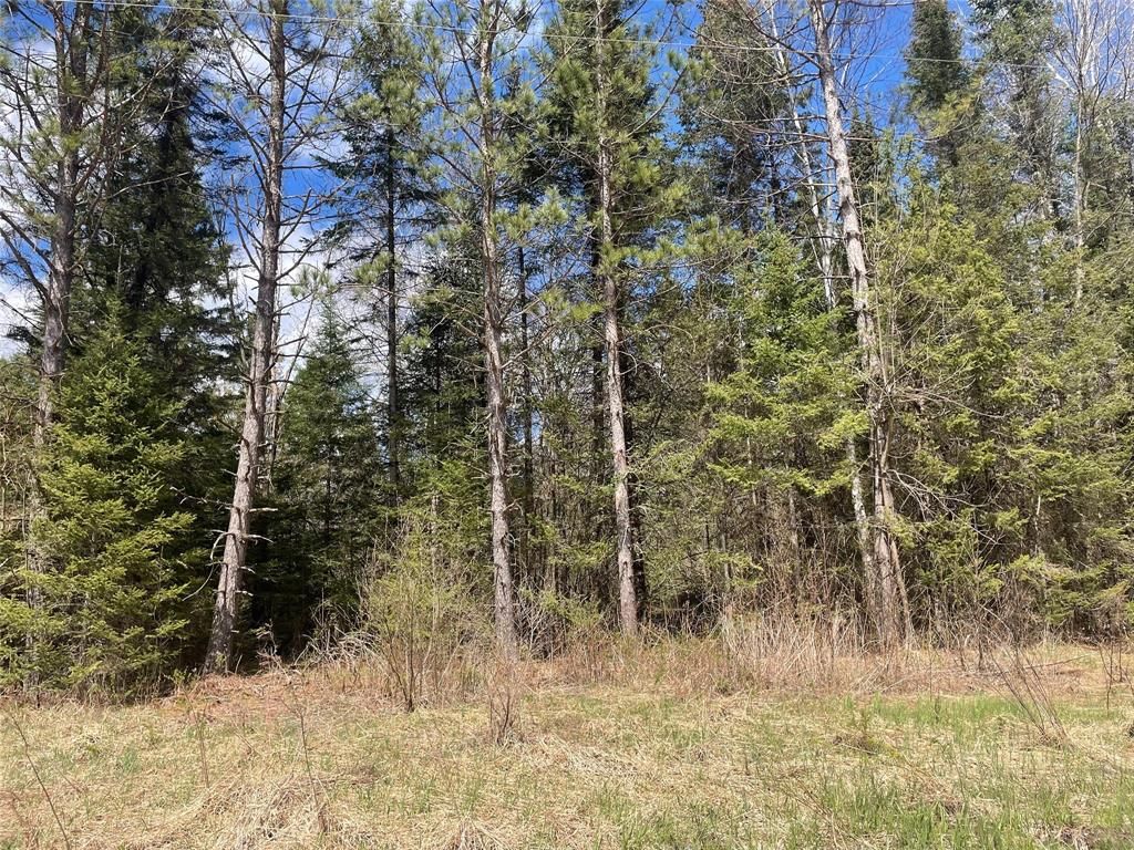 Photo of 81620 Pociask ROAD, Butternut, WI 54514 (MLS # 1601089)