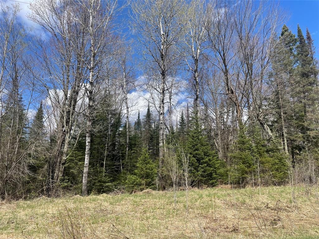 Photo of 81620 Pociask ROAD, Butternut, WI 54514 (MLS # 1601089)