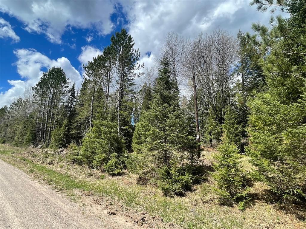 Photo of 81620 Pociask ROAD, Butternut, WI 54514 (MLS # 1601089)