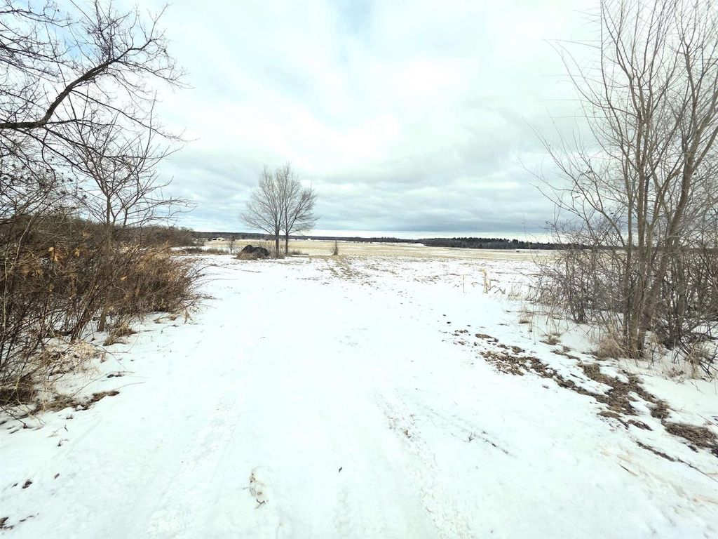 Photo of 137 Acres Morrissey ROAD, Mauston, WI 53948 (MLS # 2016199)