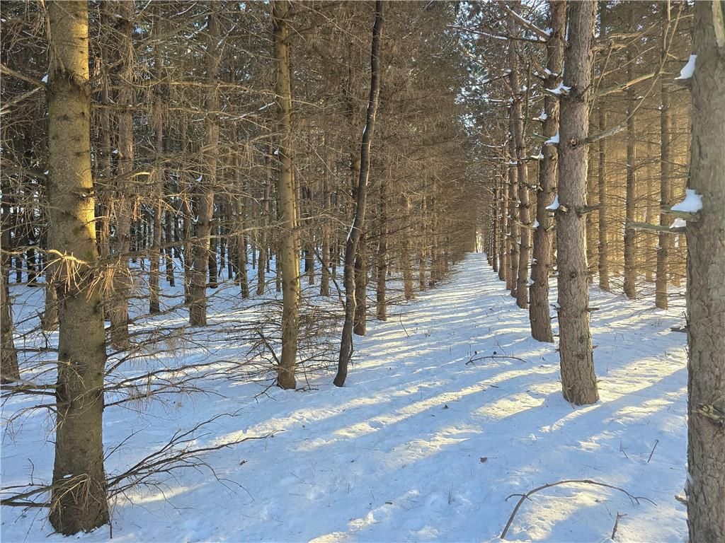 Photo of 00 23rd STREET, Chetek, WI 54728 (MLS # 1597535)