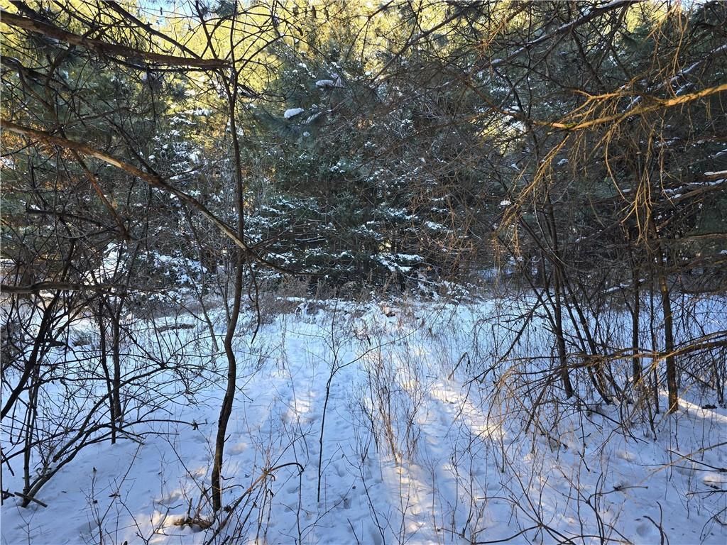 Photo of 00 23rd STREET, Chetek, WI 54728 (MLS # 1597535)