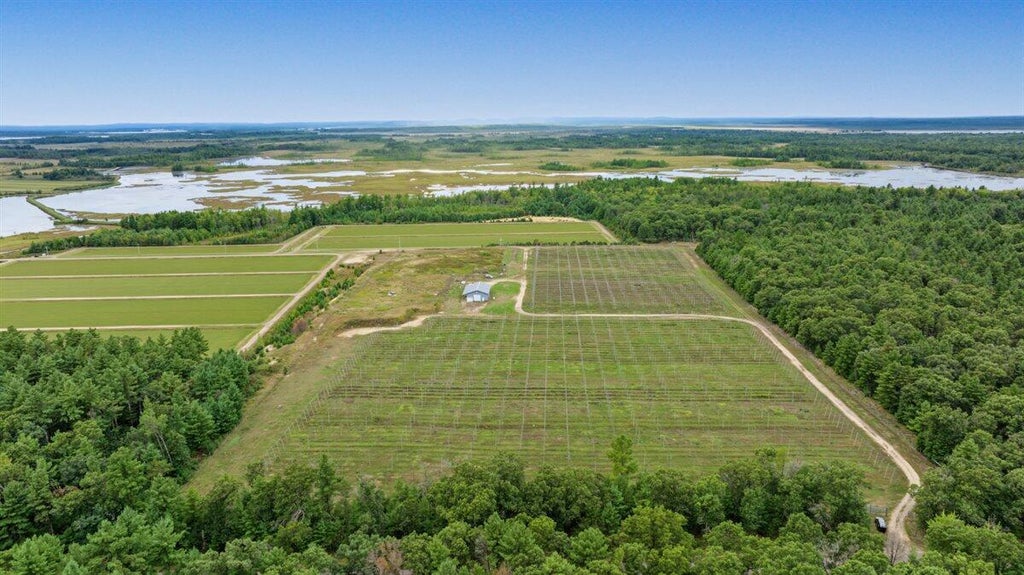 Photo of 4085 N Cranberry ROAD, Warrens, WI 54666 (MLS # 1982000)