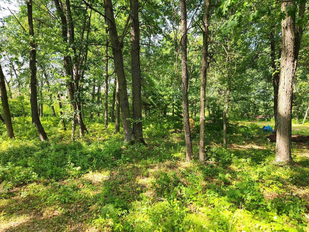 Photo of State Road 21 ROAD, Redgranite, WI 54970 (MLS # 2028581)