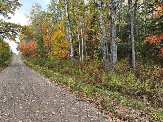 Photo of Lot 2 Ison ROAD, Crandon, WI 54520 (MLS # 2034791)