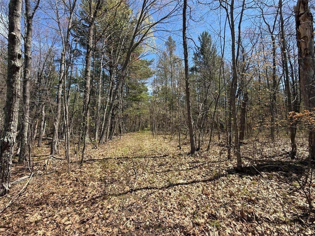 Photo of N10439 Tranus Lake ROAD, Springbrook, WI 54875 (MLS # 1602062)