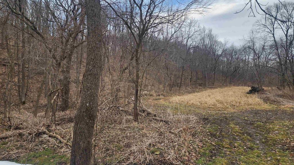 Photo of 0000 Vineyard ROAD, Prairie Du Chien, WI 53821 (MLS # 2017129)