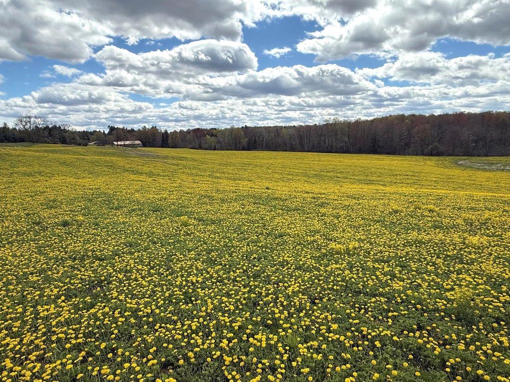 Photo of Elm ROAD, Birnamwood, WI 54414 (MLS # 50326029)