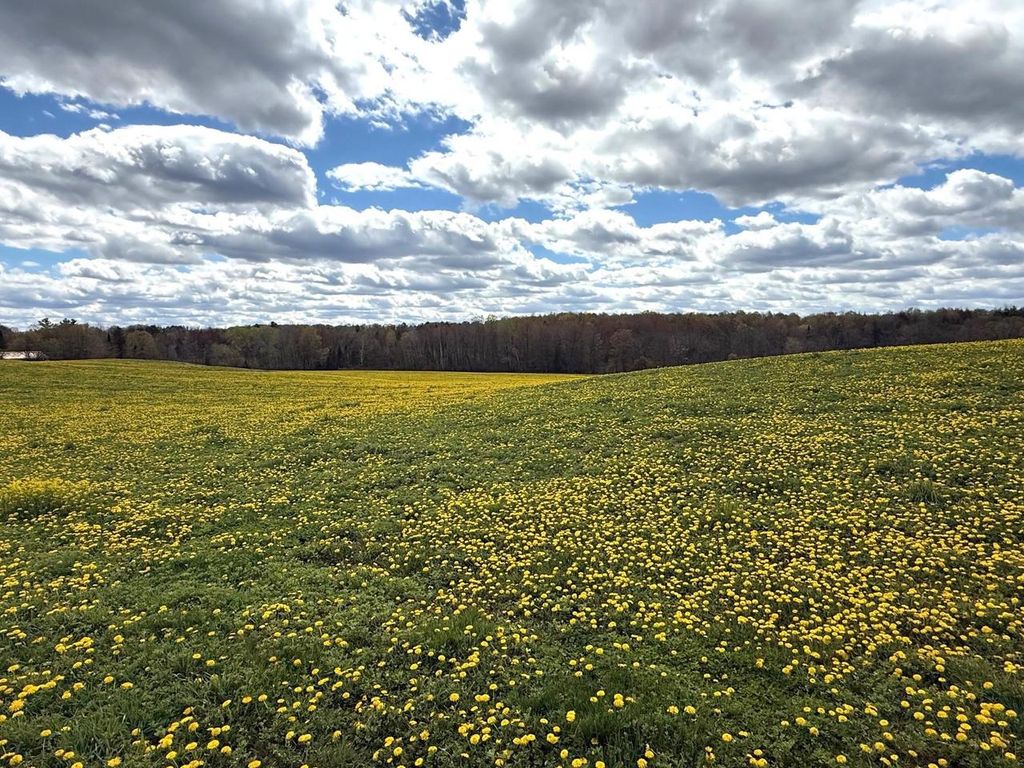 Photo of Elm ROAD, Birnamwood, WI 54414 (MLS # 50326029)