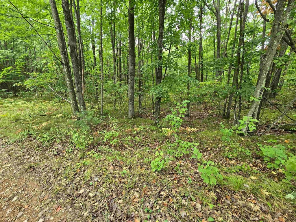 Photo of Roush ROAD, Wausaukee, WI 54177 (MLS # 50332305)