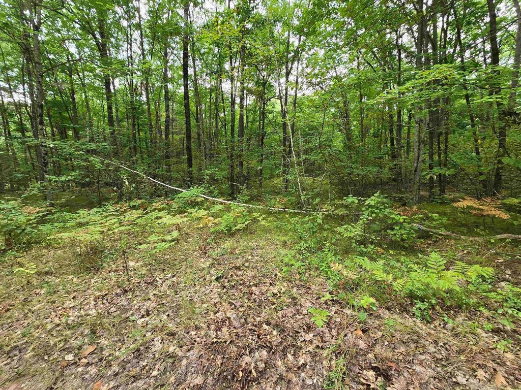 Photo of Roush ROAD, Wausaukee, WI 54177 (MLS # 50332305)