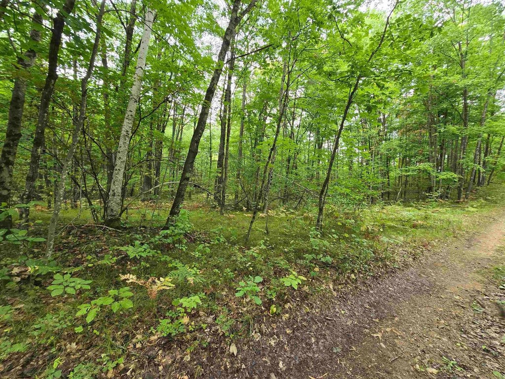 Photo of Roush ROAD, Wausaukee, WI 54177 (MLS # 50332305)