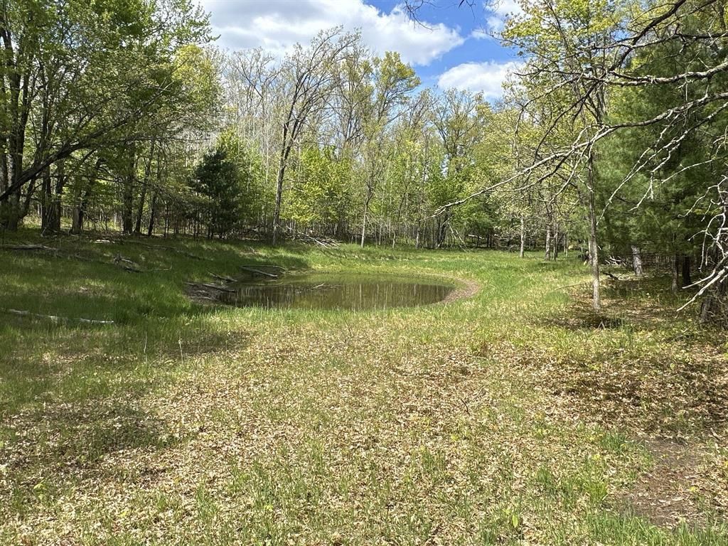 Photo of 25275 Bruss ROAD, Webster, WI 54893 (MLS # 1602158)