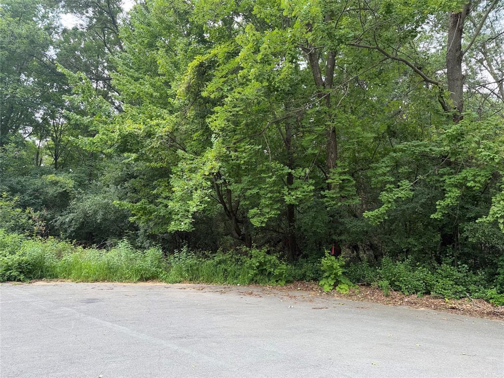 Photo of Lots 19 &amp; 20 449th STREET, Menomonie, WI 54751 (MLS # 1603614)