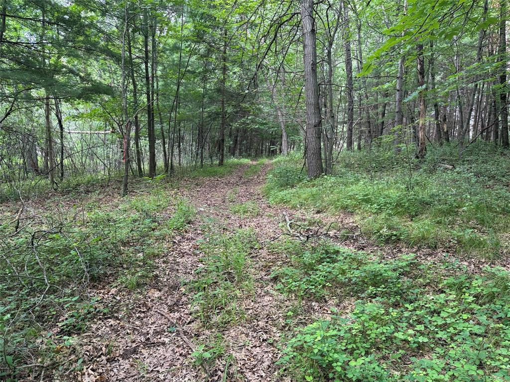 Photo of Lots 19 &amp; 20 449th STREET, Menomonie, WI 54751 (MLS # 1603614)