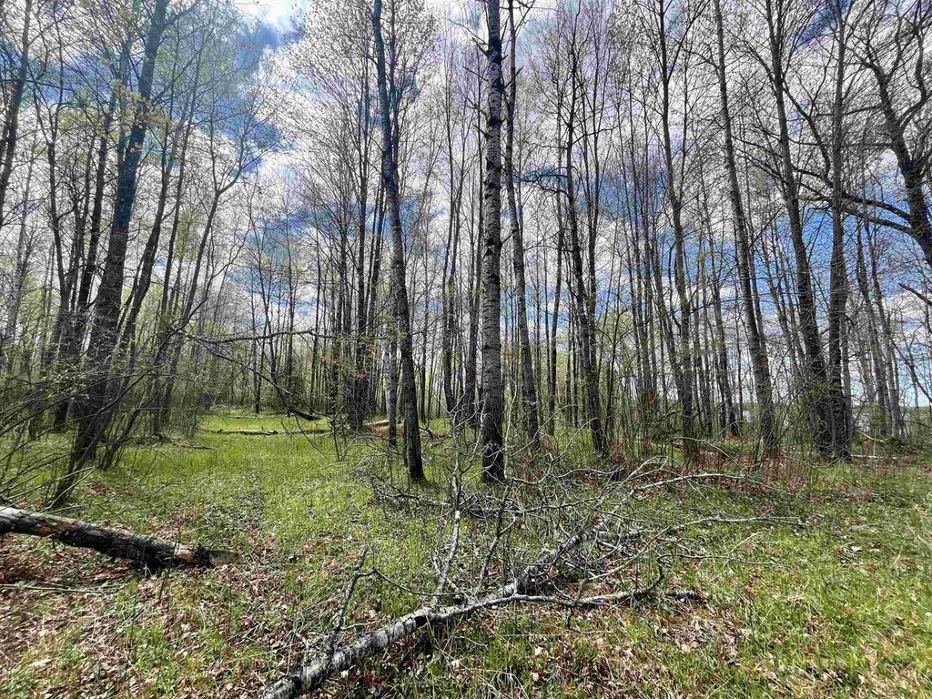 Photo of 4.39 Ac On E Soo Lake ROAD, Phillips, WI 54555 (MLS # 22601769)