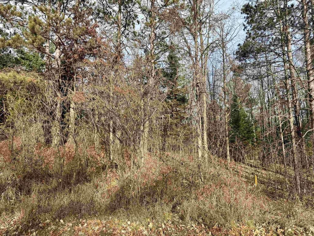 Photo of Airport ROAD, Crivitz, WI 54114 (MLS # 50319309)