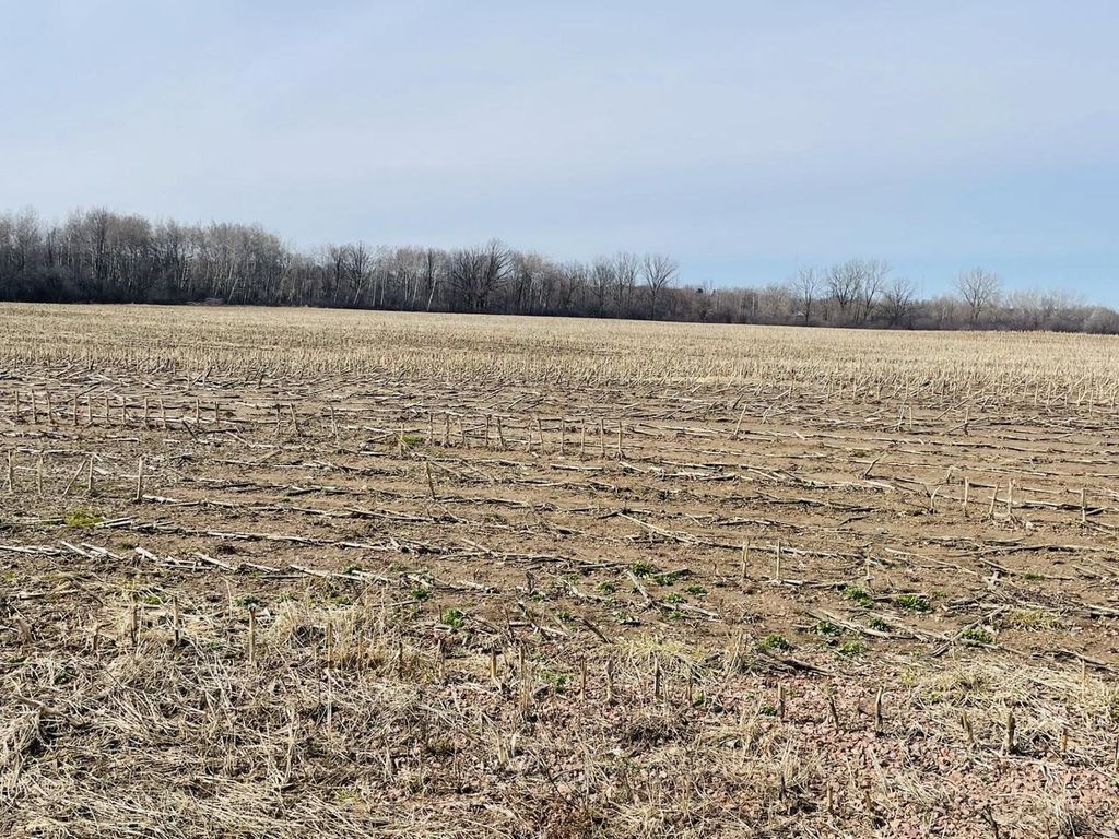 Photo of 20 Acres N Hume AVENUE, Marshfield, WI 54449 (MLS # 22601340)