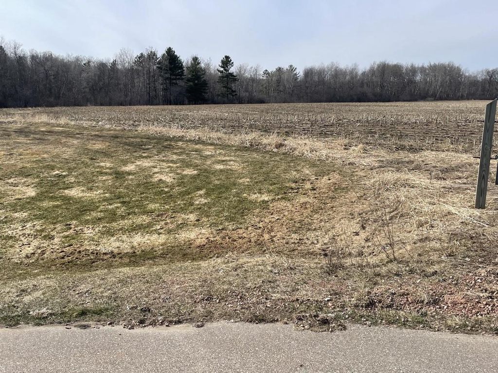 Photo of 20 Acres N Hume AVENUE, Marshfield, WI 54449 (MLS # 22601340)