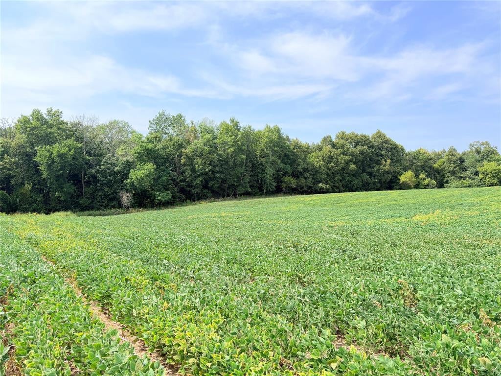Photo of 10 Acres Lot 3 230th STREET, St Croix Falls, WI 54024 (MLS # 1605794)